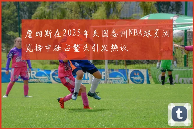 詹姆斯在2025年美国各州NBA球员浏览榜中独占鳌头引发热议