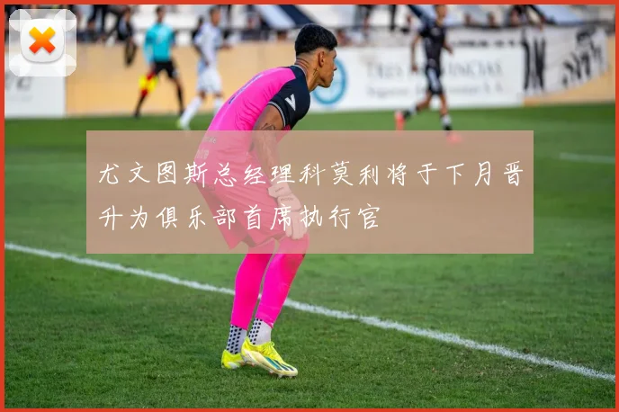 尤文图斯总经理科莫利将于下月晋升为俱乐部首席执行官