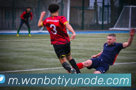 多媒体互动体验