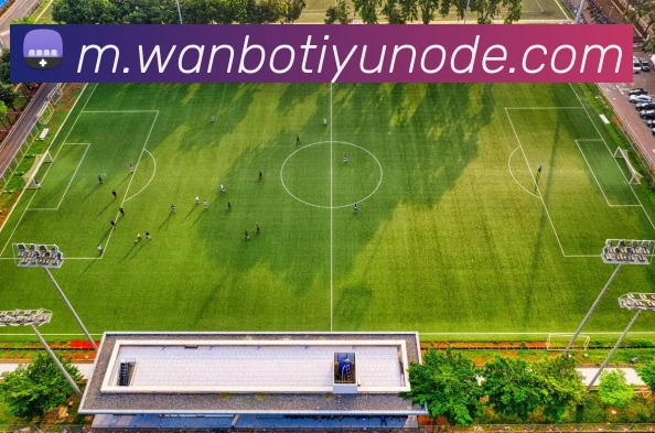 万博体育APP 高清赛事图